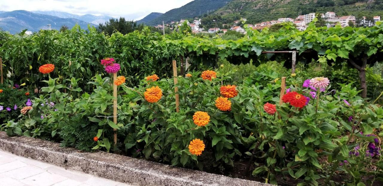 Petivat Gardens Apartman Tivat